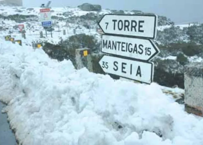 Serra Da Estrela Superior Dany Flat Seia